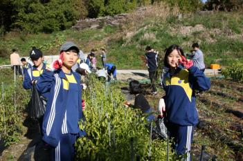 ������ �Թ� ��Ȯ(��Ȱ ü��) ÷���̹���