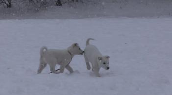 �Թڴ� �� ��! :D ÷���̹���