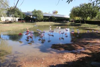 [��] ��õ�� ����ü���н� ÷���̹���