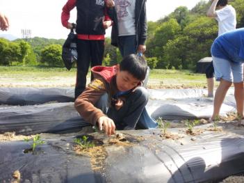 �Թ� ���ٱ� ÷���̹���