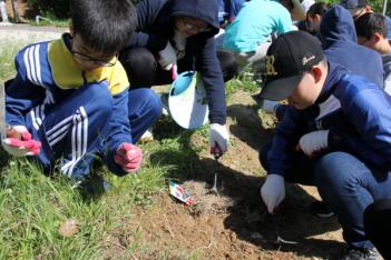 ����Ȱ�� ÷���̹���