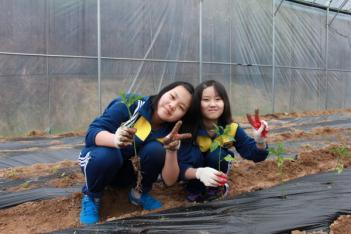 [��]�Թ� ���ٱ� ÷���̹���