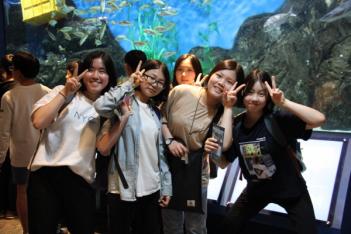 [��]����ü���н�_����, â�� ÷���̹���