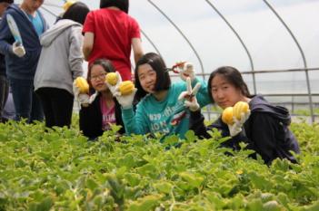 2013 �������ܻ������� ÷���̹���